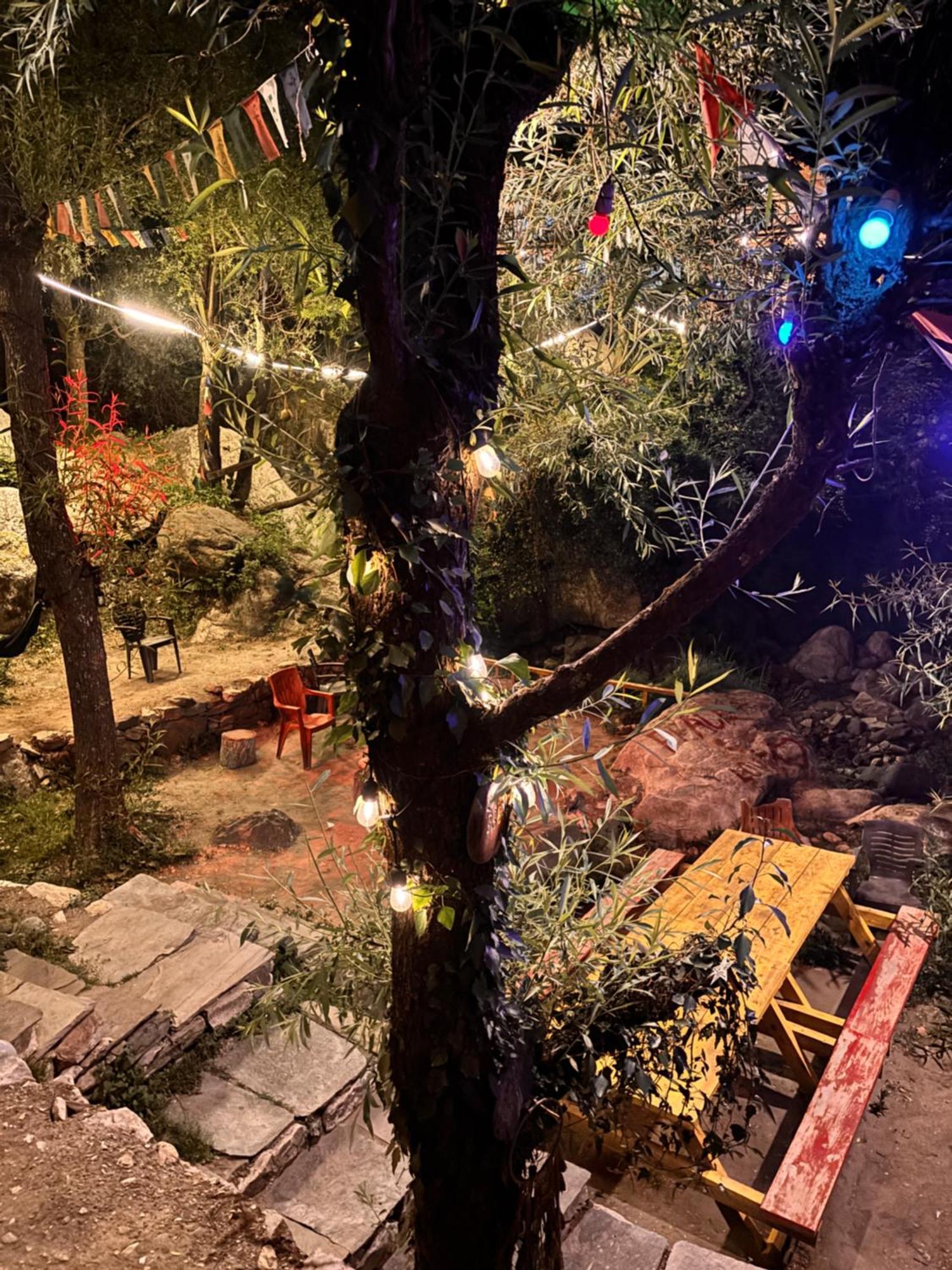 The Cozy Cabin, Jibhi Banjar ภายนอก รูปภาพ
